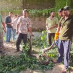 पेड़ से 16 फुट लंबे अजगर के रेस्क्यू में छूटे पसीने, छह घंटे में पकड़ा