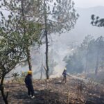 अल्मोड़ा में विभिन्न स्थानों पर लगी जंगल की आग पर फायर सर्विस ने की त्वरित कार्रवाई-