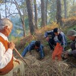मां भगवती मंदिर परिसर में हुआ विशिष्ट वृक्षारोपण, पर्यावरण प्रेमी किशन सिंह मलरा ने बढ़ाई परिसर की शोभा