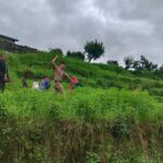 ग्राम गासी में आठ नाली भांग की फसल पर चला  बागेश्वर पुलिस का बुलडोजर, नशामुक्ति का दिया संदेश