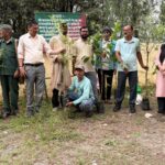 मंडलसेरा–कांडा मोटर मार्ग पर श्रमजीवी पत्रकार यूनियन का वृक्षारोपण अभियान, पर्यावरण संरक्षण का लिया संकल्प