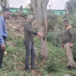 खबर का असर: बाघ के खौफ के बीच रिठाड़ में हरकत में आया वन विभाग, लगाए गए कैमरे