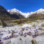 फूलों की घाटी में तीन फीट तक बर्फ, निरीक्षण कर लौटी टीम