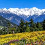 कल पर्यटकों के लिए खोली जाएगी फूलों की घाटी